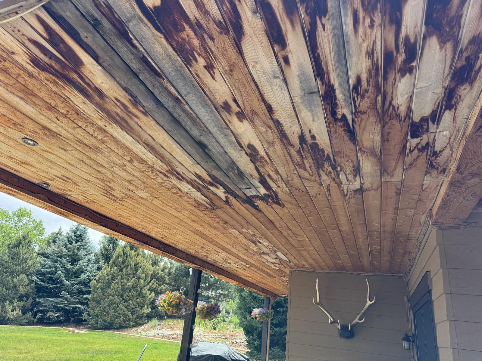 Before: unfinished Underdeck area